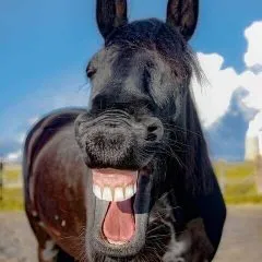 6 מצבים בהם הומור שחור הוא התרופה