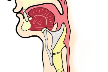 היכולות המצוינות של הדיקור הסיני בנושא הטיפול בסינוסיטיס