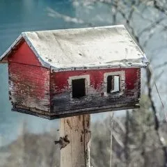 משפצים את הבית