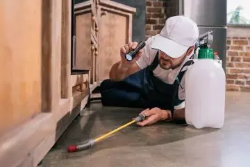 החשיבות הרבה של שירותי הדברה